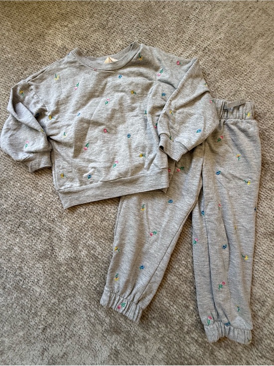 Pink Lemon Other - Pink Lemon Girls 3T Gray Floral Embroidered Sweatshirt Jogger Set